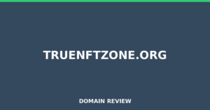truenftzone.org Review 2026 – Detailed Analysis
