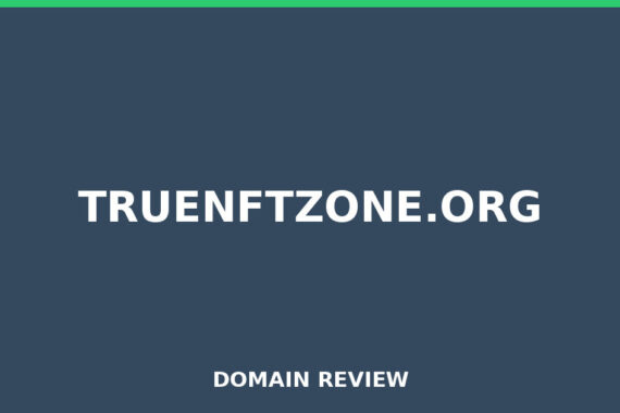 TRUENFTZONE.ORG review 2026 - Domain review placeholder image for truenftzone.org