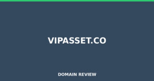vipasset.co 2026 Review – Legitimacy Check