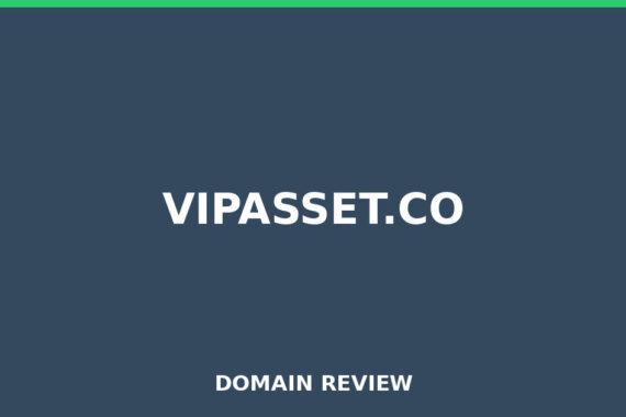 VIPASSET.CO review 2026 - Domain review placeholder image for vipasset.co