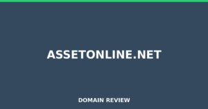 assetonline.net Review 2026 – Detailed Analysis