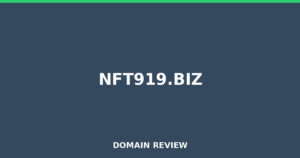 nft919.biz Review 2026 – Detailed Analysis